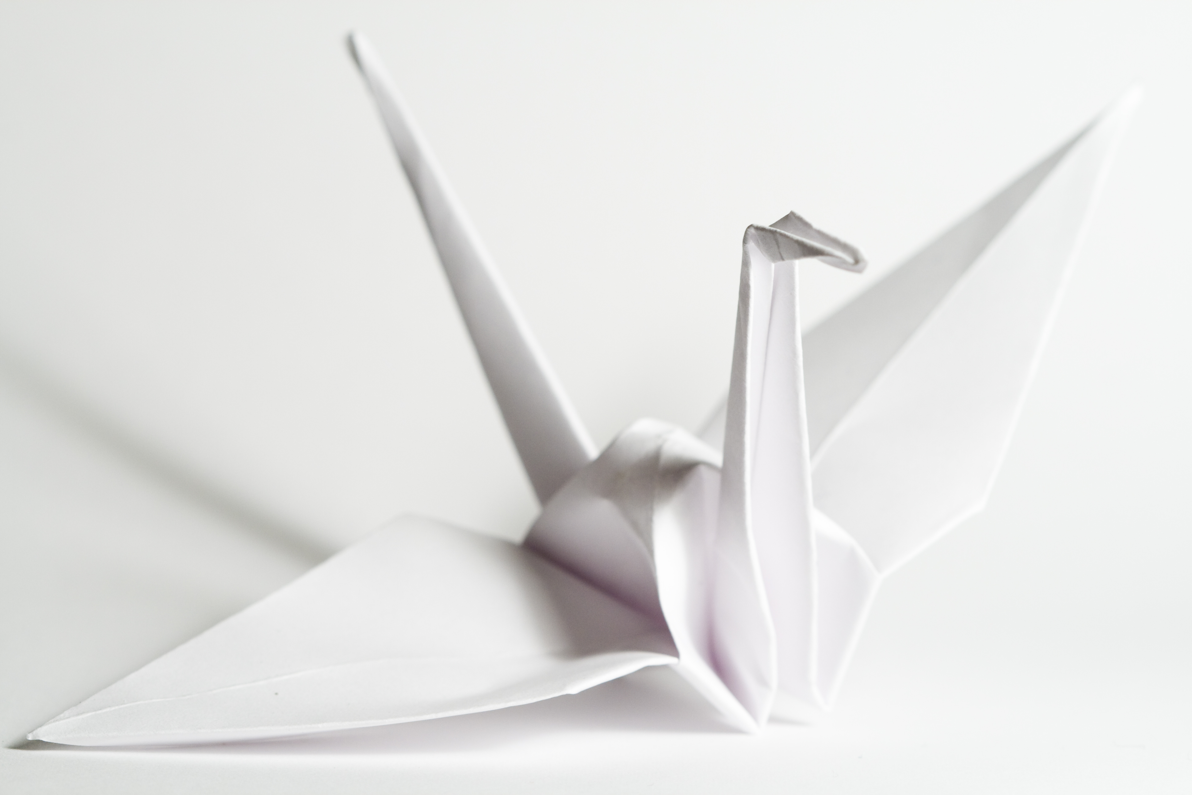 cranes thesis paper cranes thesis paper