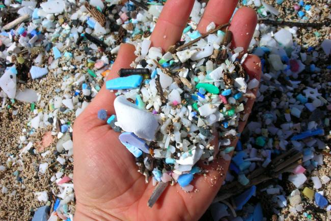 Microplastique sur la plage (The 5 Gyres Institute)