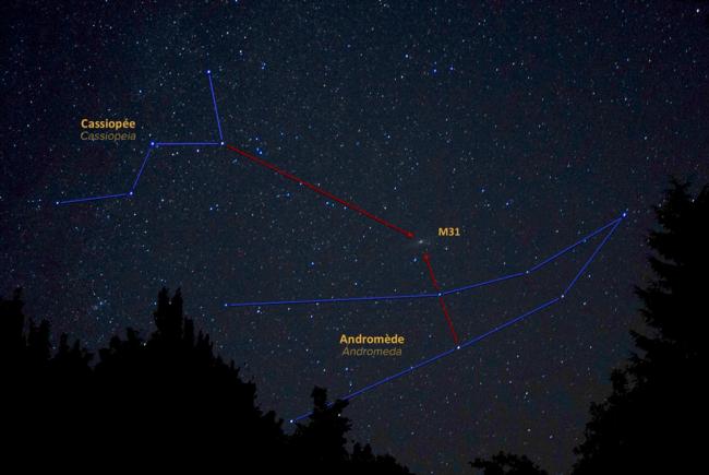 The Andromeda Galaxy Our Neighbour Blog Space For Life The Andromeda Galaxy Our Neighbour Blog Space For Life