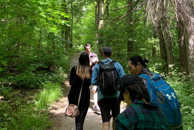 The guided exploration walk at Mont Boullé lets us take a fresh look at urban biodiversity.