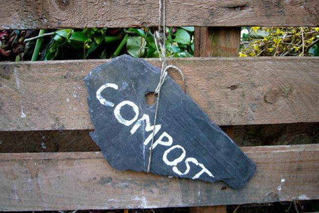 Compost © cc flickr (Kirsty Hall)