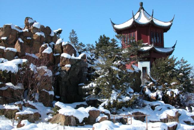 Jardin de Chine en hiver © Jardin botanique de Montréal (Michel Tremblay)