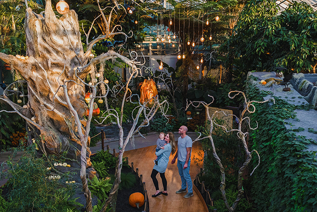 Halloween Shivers in the Jardin botanique' Main Greenhouse.