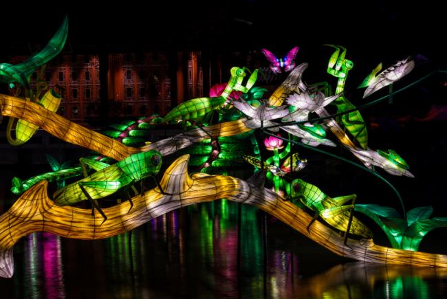 Jardins en lumière