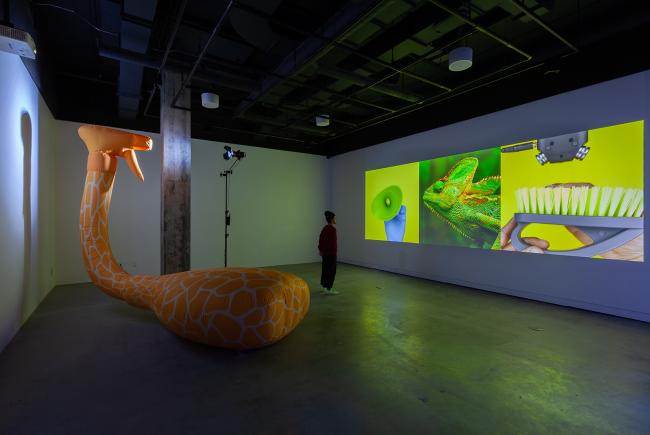 View of the exhibition Juan Ortiz-Apuy. Tropicana, VOX, 2021.