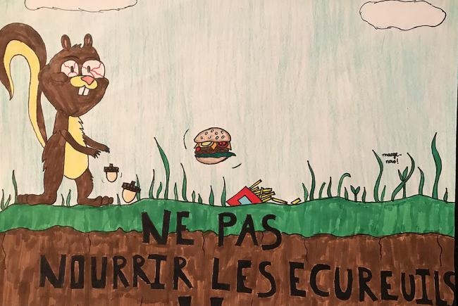 Winning entry in the Feeding the squirrels category of the drawing contest: Conserving my neighbourhood woodlot.