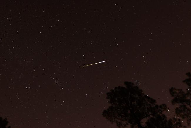 A Perseid photographed in 2015.
