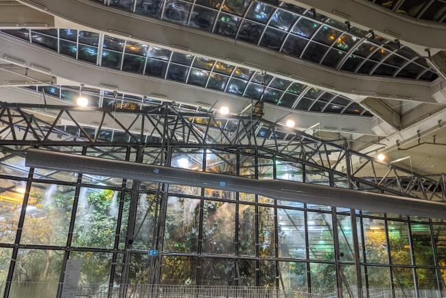 Installation in the Tropical Rainforest ecosystem, just below the glass roof.