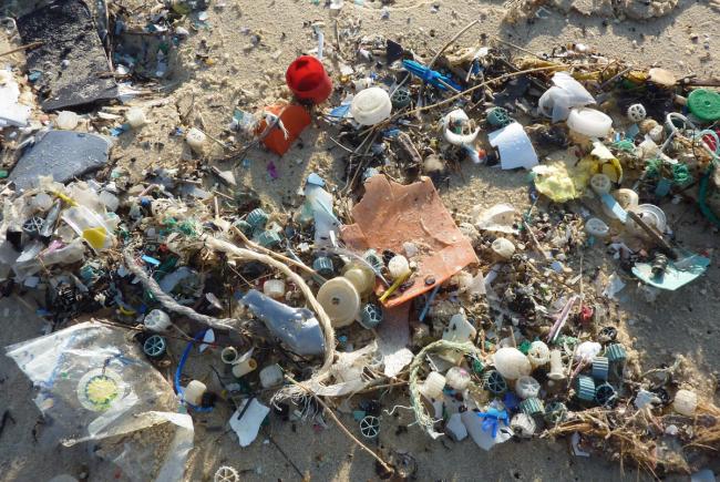 Sea coast plastic litter 