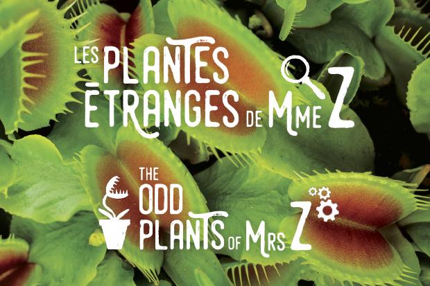Les plantes étranges de Mme Z