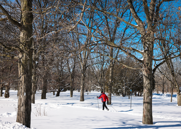 The Jardin botanique includes approximately 3km of groomed cross-country ski trails.