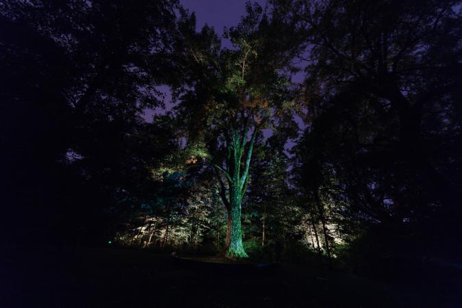 Spirit of Place, an artistic illumination of the First Nations Garden