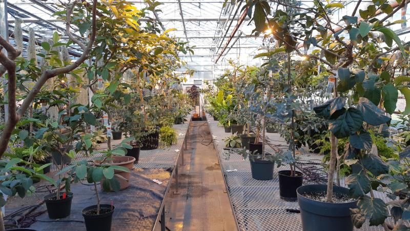 Insectarium Breeding Greenhouses.