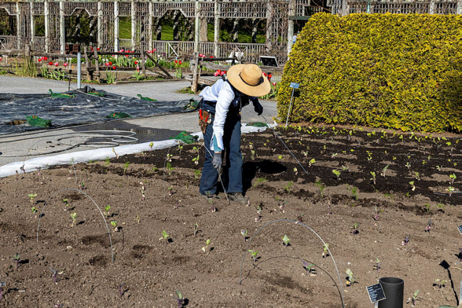 Gardening in tune with the seasons