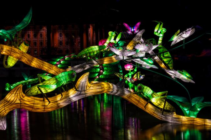 Gardens of Light