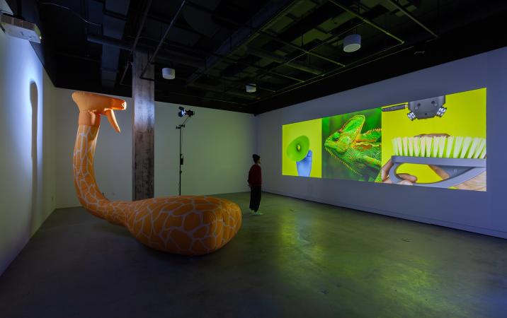 View of the exhibition Juan Ortiz-Apuy. Tropicana, VOX, 2021.