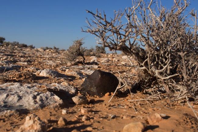 Météorite Beni M’hira dans son contexte