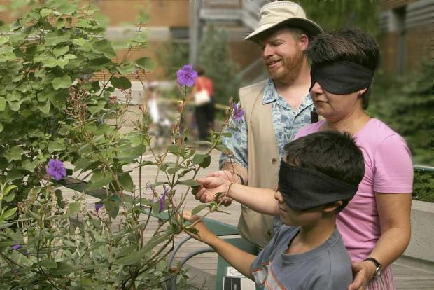 Visite de la Cour des sens au Jardin botanique