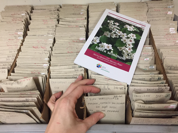 Les différents sachets de graines composant l’Index seminum 2021.