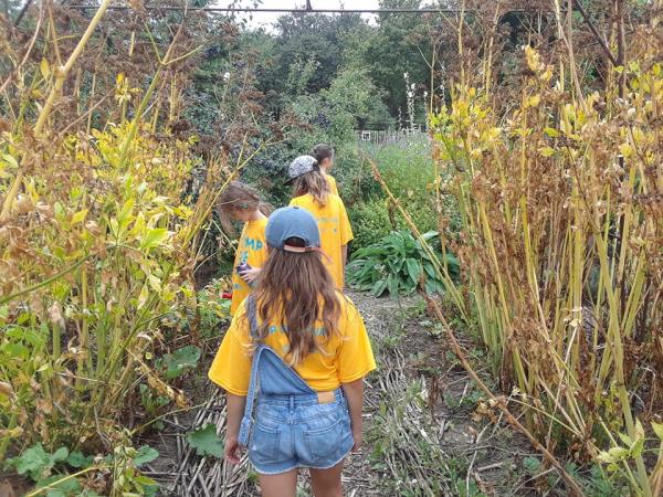  Des apprentis scientifiques dans le jardin de vivaces aux Jardins-jeunes.