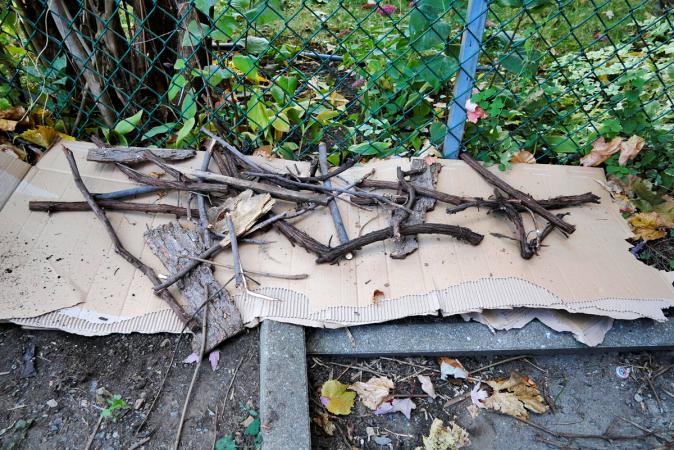 Débutez avec quelques petites branches
