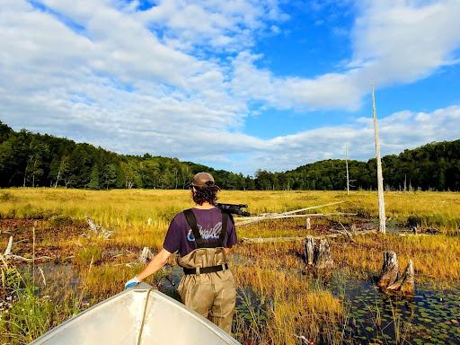 Antoine Magnoux, field technician, getting set to install a microphone on a tripod to record singing insects in a bog. This magnificent bog is located at Lac Papineau, on the territory of the Kenauk Nature reserve.