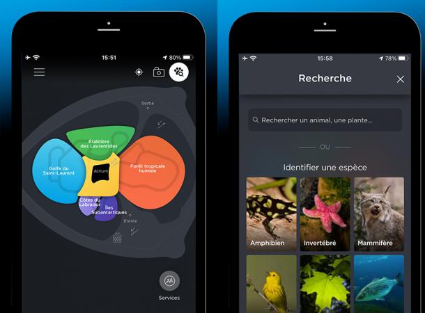 Map and search tool.