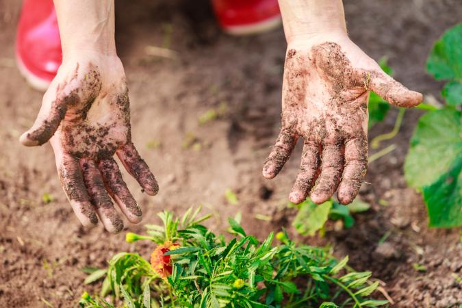 For a lot of gardeners, working barehanded improves dexterity and makes for a better connection with their garden.