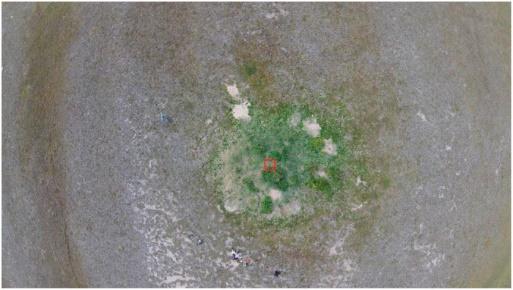 Photo aérienne de la tanière d’un renard arctique 