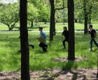 Activité éducative La Course aux arbres - Maison de l&#039;arbre, Jardin botanique de Montréal