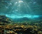 Underwater sun through the water surface seen from a rocky bottom. 