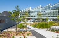 The Insectarium, the first LEED Gold-certified curtain-wall greenhouse in Québec!