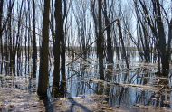 Plaines inondables, zones à risque