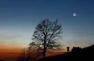 Saturne, Vénus, Mercure et la Lune © Stefan Seip/TWAN
