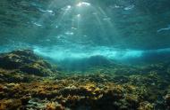 Underwater sun through the water surface seen from a rocky bottom. 