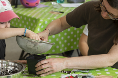 Free activities for experiencing nature in a different way