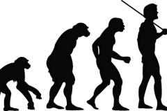 Illustration de l'évolution de l'homme