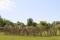 Monumental Dougherty – Preparing the site for the collective work