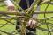 Monumental Dougherty – collective land art piece - animation