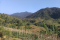Paysage Indonésie, Java Ouest