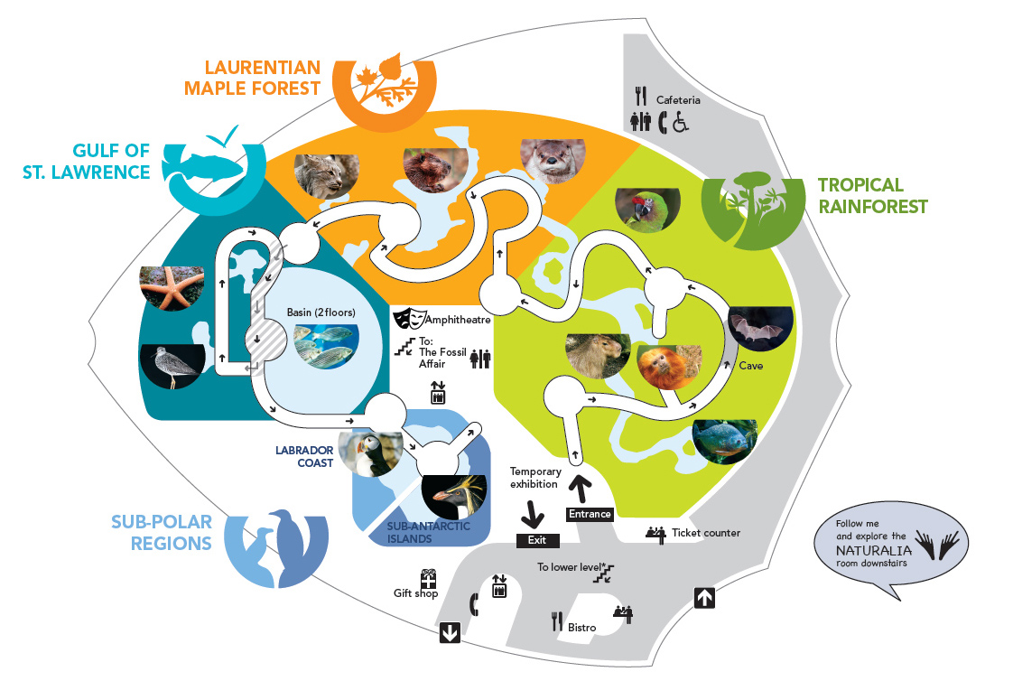 Ecosystems of the Americas | Space for life