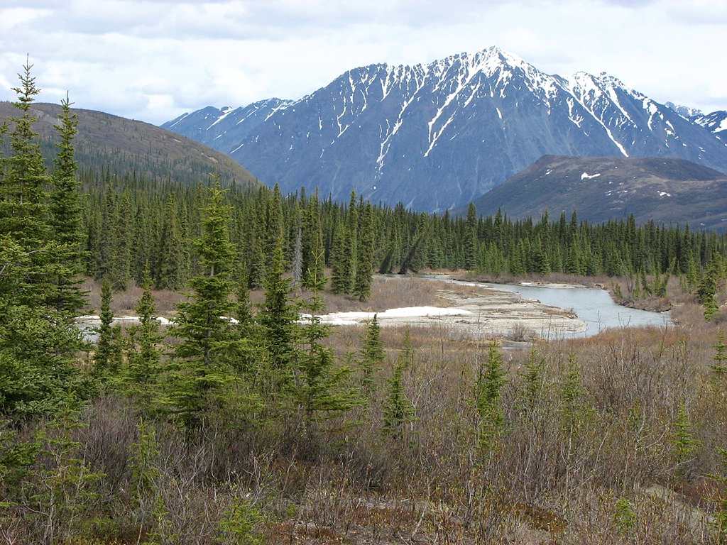 Northern Territory: Taiga and tundra | Space for life