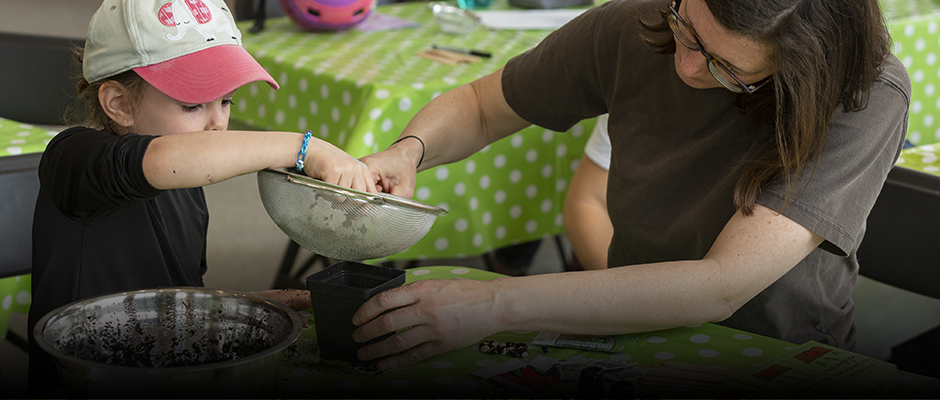 Free activities for experiencing nature in a different way