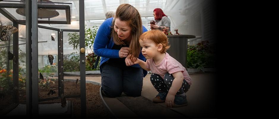 Discover our insects