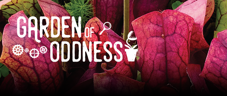 Garden of Oddness - Carrousel