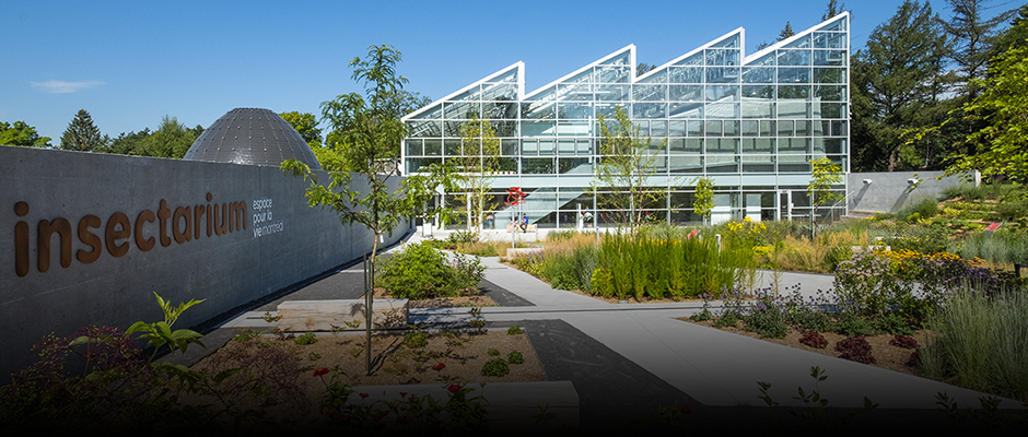The Insectarium, the first LEED Gold-certified curtain-wall greenhouse in Québec!