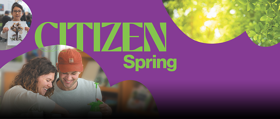 Citizen Spring - Carrousel