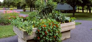 Raised bed garden