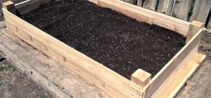 Potager surélevé