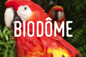 Biodôme - Special measures - Ticketing